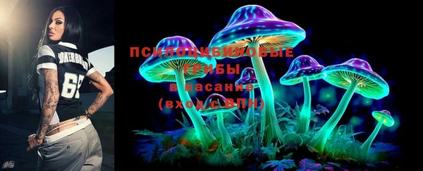 ПСИЛОЦИБИНОВЫЕ ГРИБЫ Алексеевка